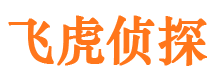 武胜侦探公司